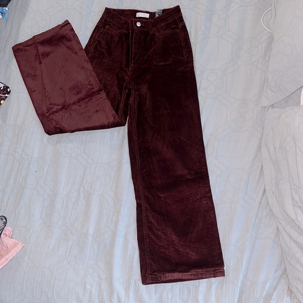 velvet zara pants